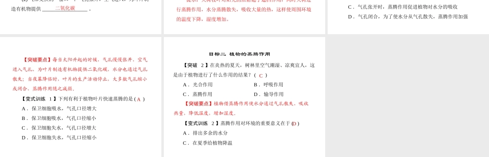 《随堂优化训练》2011年七年级生物上册 第三单元 第三章 第三节 绿色植物参与生物圈的水循环配套课件 人教新课标版