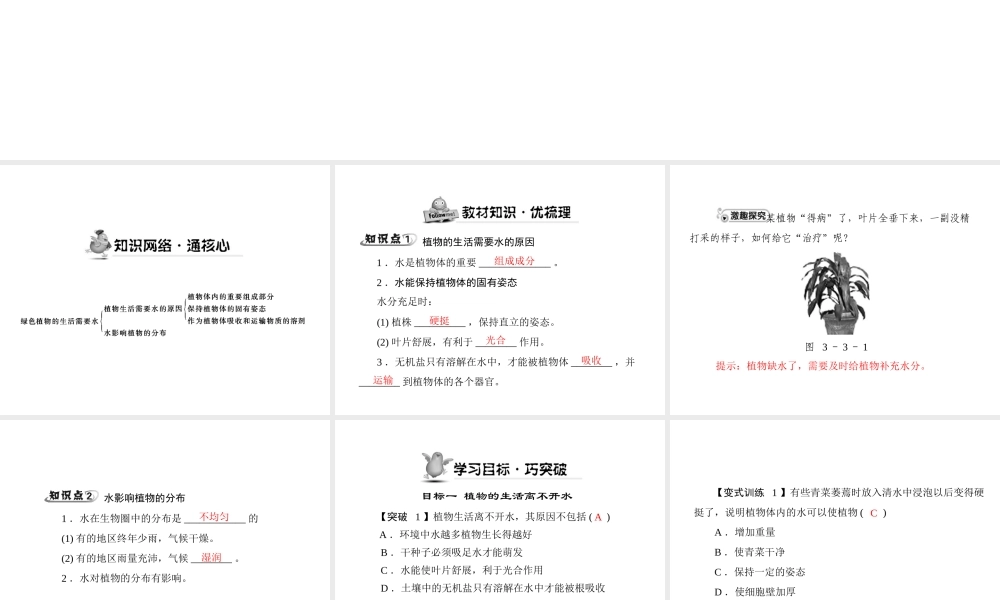 《随堂优化训练》2011年七年级生物上册 第三单元 第三章 第一节 绿色植物的生活需要水配套课件 人教新课标版