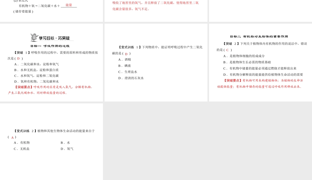 《随堂优化训练》2011年七年级生物上册 第三单元 第四章 第二节 绿色植物对有机物的利用配套课件 人教新课标版