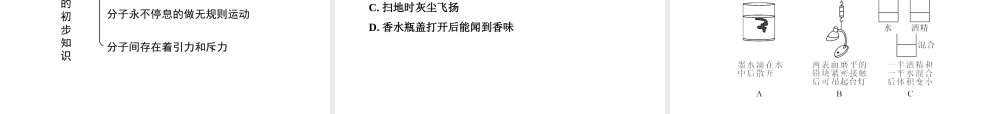 2019春八年级物理下册 10.2 分子动理论的初步知识课件 （新版）粤教沪版