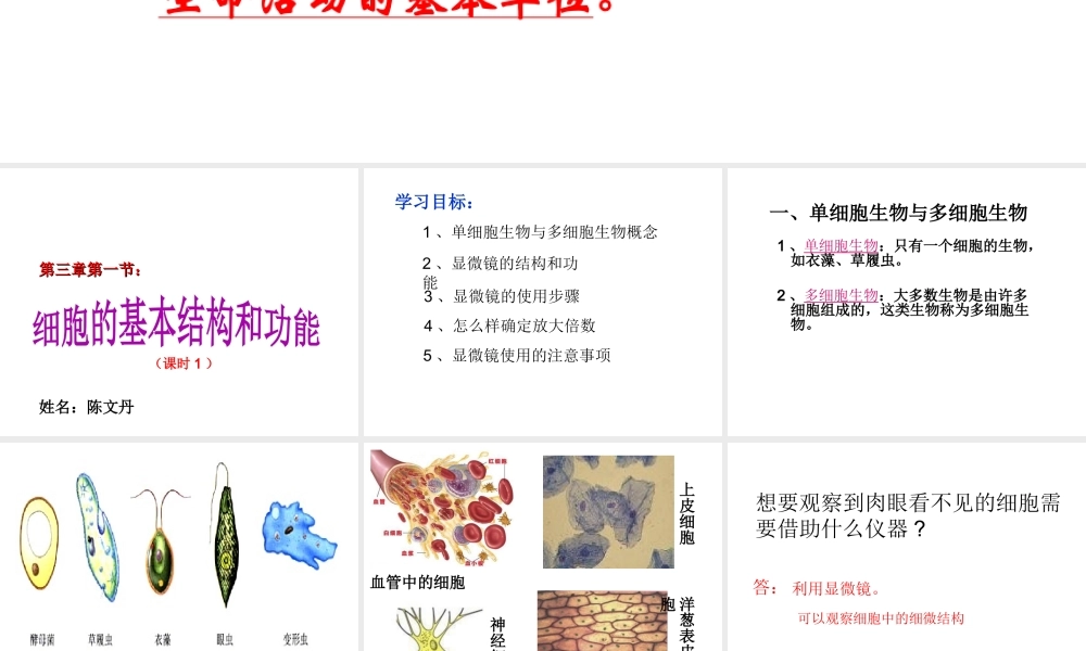 9月七年级生物上册 第二单元 第3章 第1节 细胞的基本结构和功能教学课件 北师大版-北师大版初中七年级上册生物课件