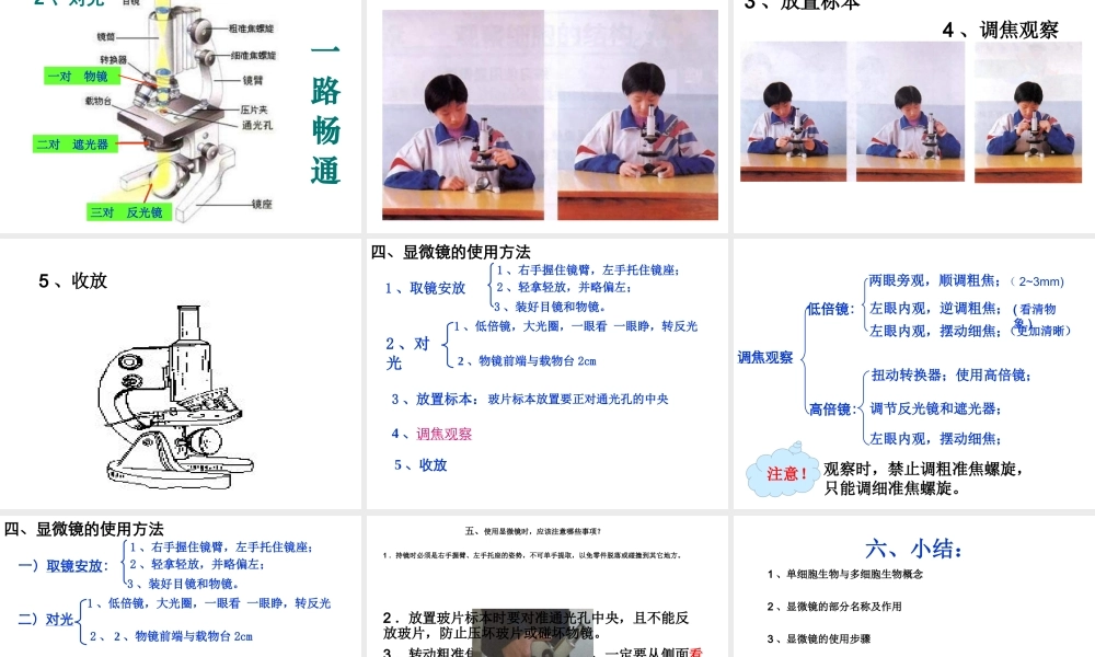 9月七年级生物上册 第二单元 第3章 第1节 细胞的基本结构和功能教学课件 北师大版-北师大版初中七年级上册生物课件