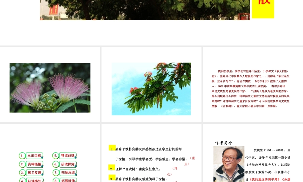 2级语文下册 第一单元 4 合欢树课件 语文版