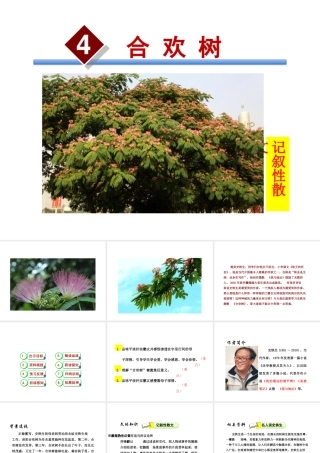 2级语文下册 第一单元 4 合欢树课件 语文版