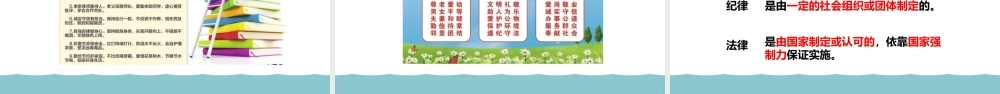 3.1 维护秩序 教学课件
