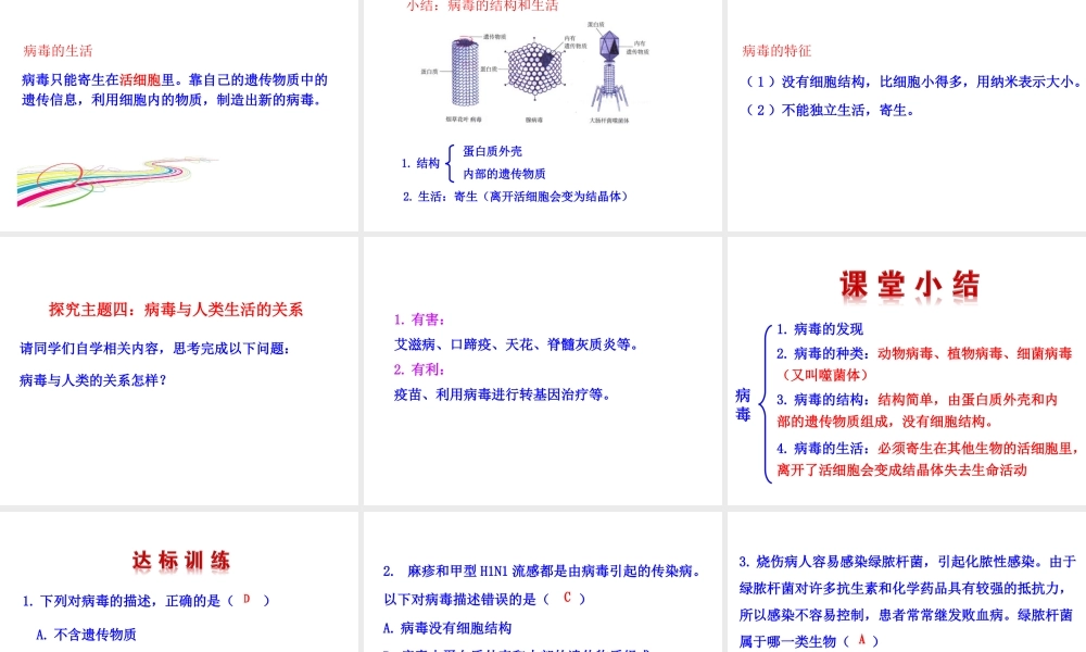 【世纪级生物上册 情境互动课型 5.5 病毒课件 （新版）新人教版