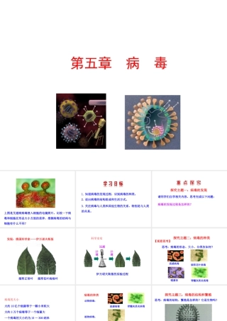 【世纪级生物上册 情境互动课型 5.5 病毒课件 （新版）新人教版