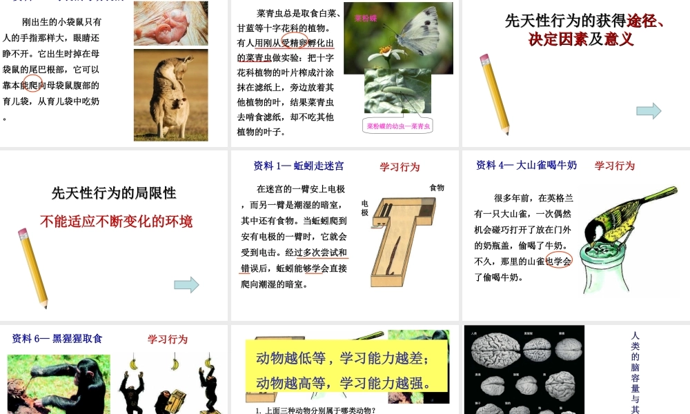2019秋八年级生物上册 5.2.2先天性行为和学习行为课件+素材 （新版）新人教版
