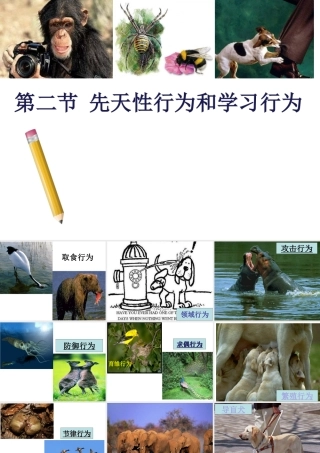 2019秋八年级生物上册 5.2.2先天性行为和学习行为课件+素材 （新版）新人教版