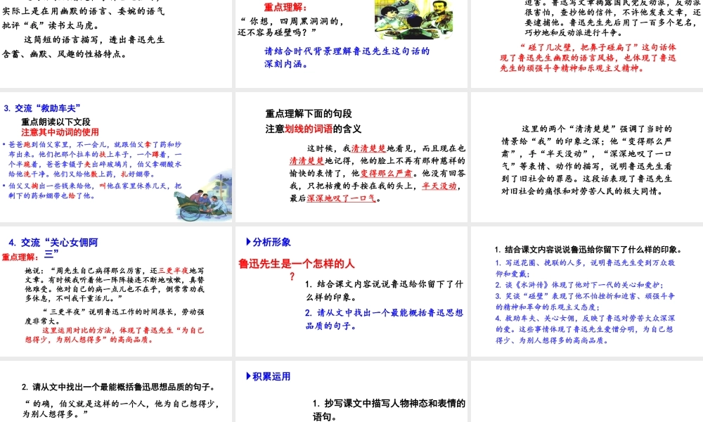 2019秋六年级语文上册 第八单元 26我的伯父鲁迅先生课件