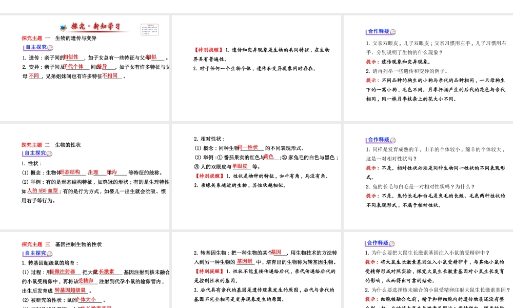 【世纪金榜】2014届新学期中考生物知识点复习 八年级下册 基因控制生物的性状（含2013教师典型题）课件 新人教版