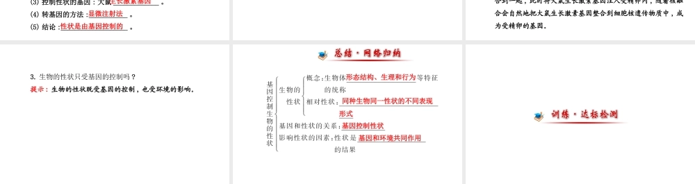 【世纪金榜】2014届新学期中考生物知识点复习 八年级下册 基因控制生物的性状（含2013教师典型题）课件 新人教版