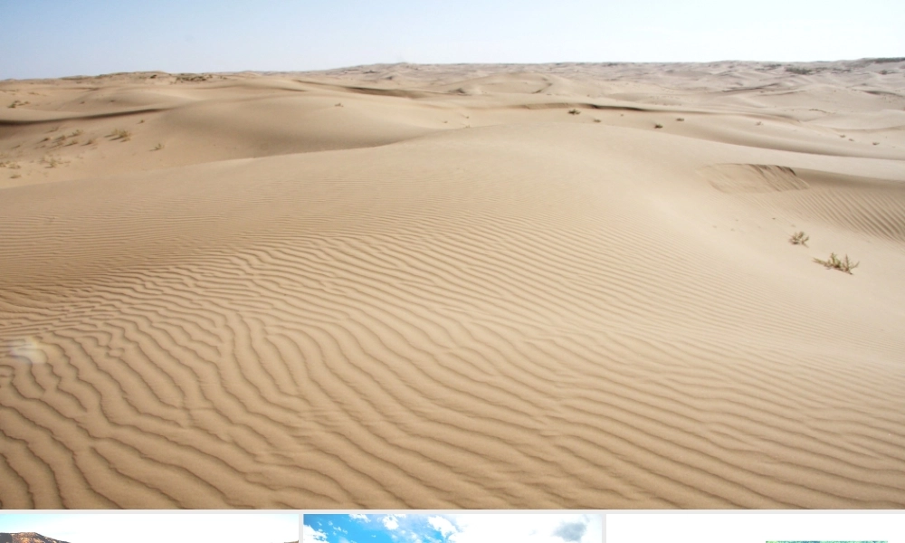 2019秋六年级语文上册 第六单元 19青山不老课件