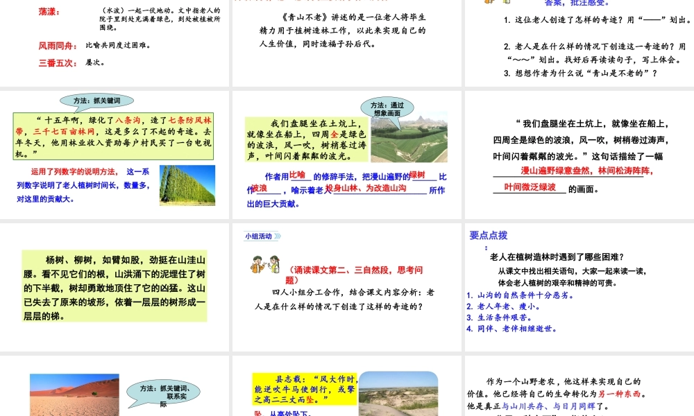 2019秋六年级语文上册 第六单元 19青山不老课件