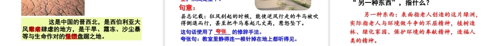 2019秋六年级语文上册 第六单元 19青山不老课件