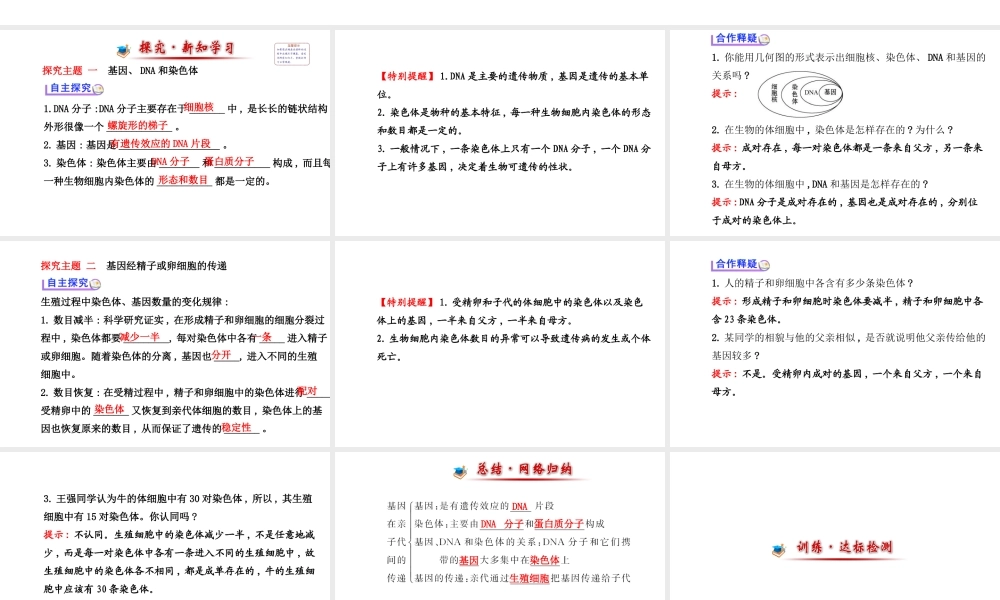 【世纪金榜】2014届新学期中考生物知识点复习 八年级下册 基因在亲子代间的传递（含2013教师典型题）课件 新人教版