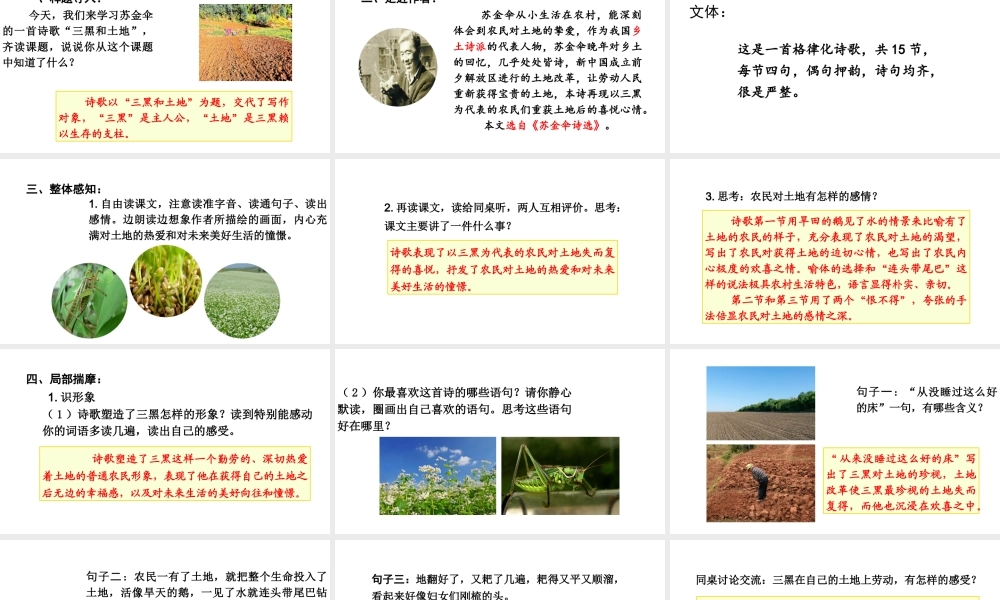 2019秋六年级语文上册 第六单元 20三黑和土地课件