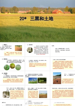 2019秋六年级语文上册 第六单元 20三黑和土地课件