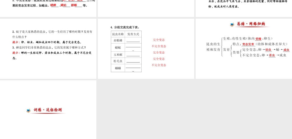 【世纪金榜】2014届新学期中考生物知识点复习 八年级下册 昆虫的生殖和发育（含2013教师典型题）课件 新人教版