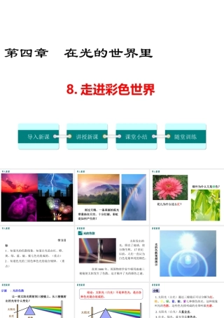 2019年八年级物理上册 4.8 走进彩色世界课件 （新版）教科版