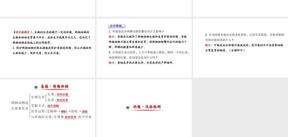 【世纪金榜】2014届新学期中考生物知识点复习 八年级下册 两栖动物的生殖和发育（含2013教师典型题）课件 新人教版