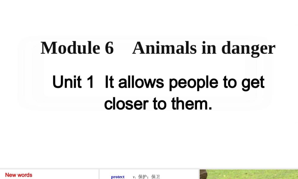 Module 6 Unit 1课件