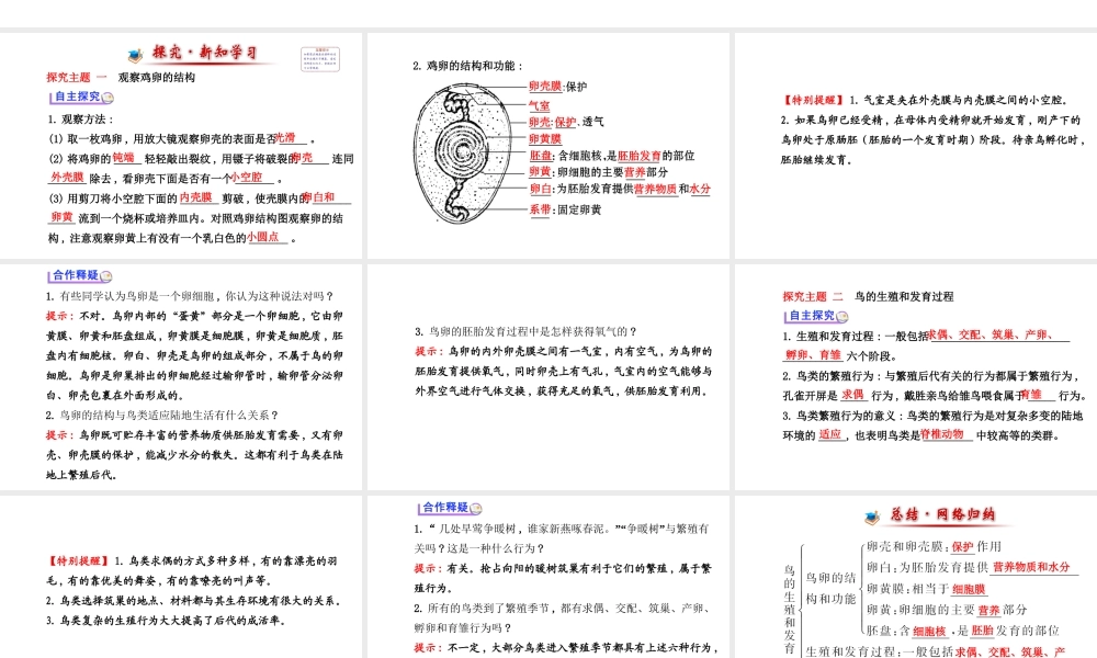 【世纪金榜】2014届新学期中考生物知识点复习 八年级下册 鸟的生殖和发育（含2013教师典型题）课件 新人教版