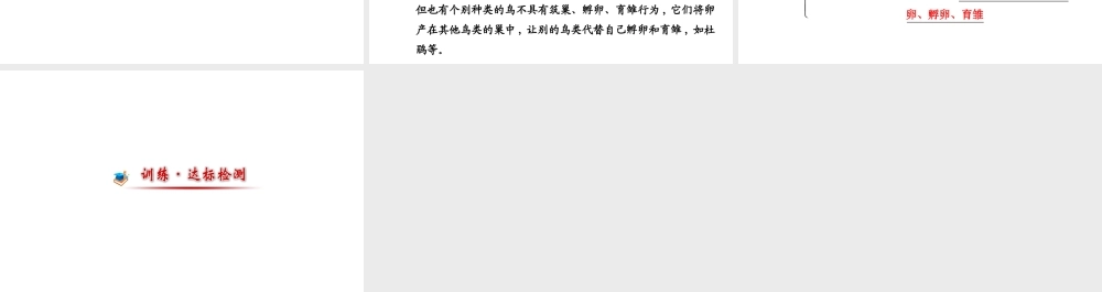 【世纪金榜】2014届新学期中考生物知识点复习 八年级下册 鸟的生殖和发育（含2013教师典型题）课件 新人教版