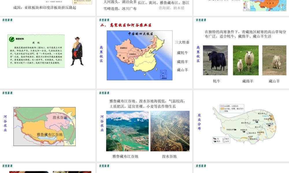 2019年春八年级地理下册 第九章 第一节 自然特征与农业课件（新版）新人教版