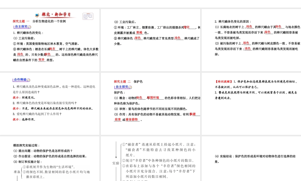 【世纪金榜】2014届新学期中考生物知识点复习 八年级下册 生物进化的原因（含2013教师典型题）课件 新人教版