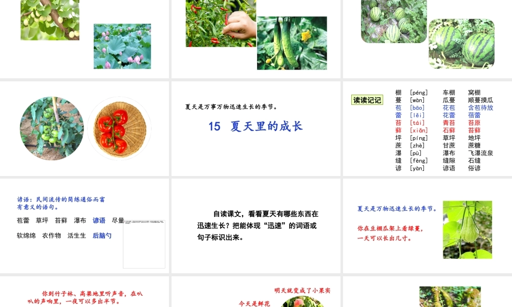 2019秋六年级语文上册 第五单元 15夏天里的成长课件