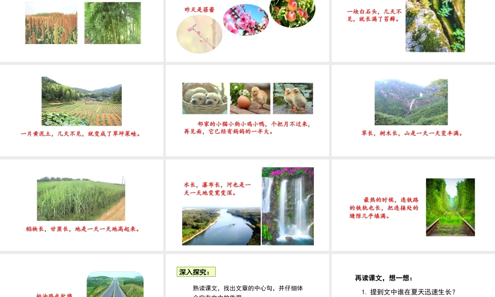 2019秋六年级语文上册 第五单元 15夏天里的成长课件