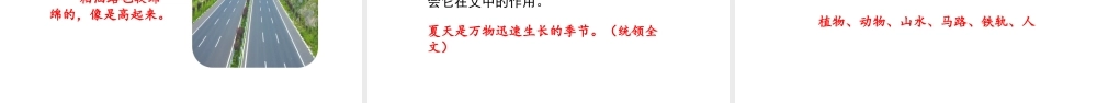 2019秋六年级语文上册 第五单元 15夏天里的成长课件