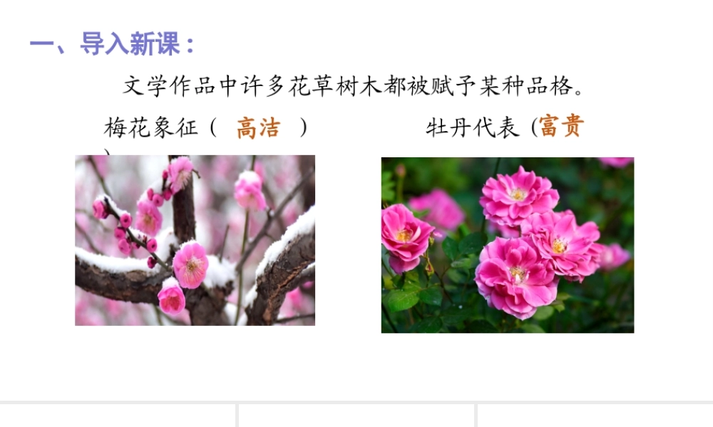 2019秋六年级语文上册 第一单元 2丁香结课件