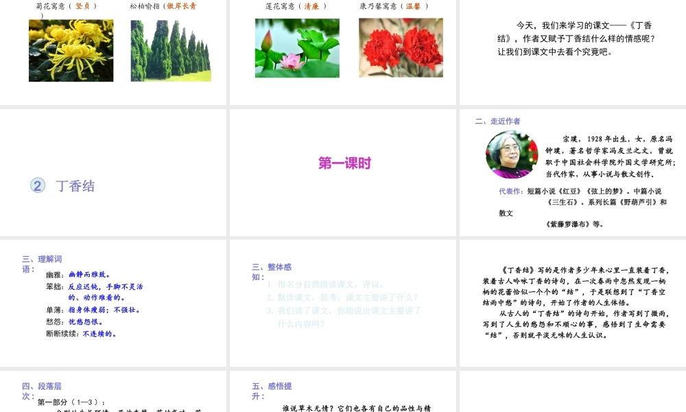 2019秋六年级语文上册 第一单元 2丁香结课件