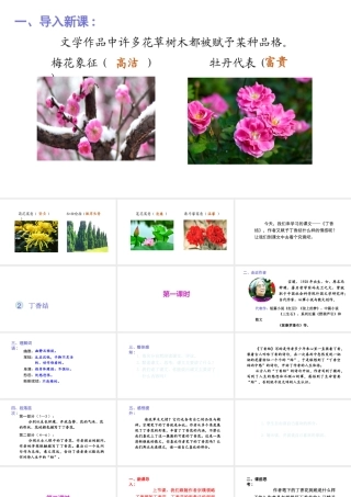 2019秋六年级语文上册 第一单元 2丁香结课件