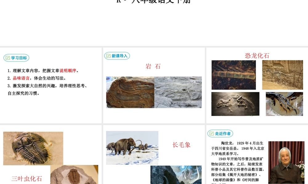 2019年春八年级语文下册 第二单元 8时间的脚印课件 新人教版