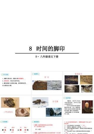 2019年春八年级语文下册 第二单元 8时间的脚印课件 新人教版
