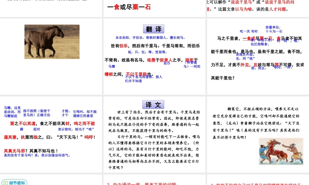 2019年春八年级语文下册 第六单元 23 马说课件 新人教版