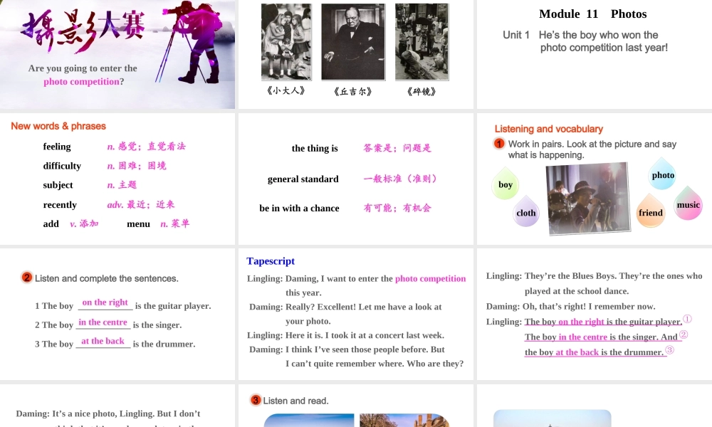 Module 11 Unit 1课件