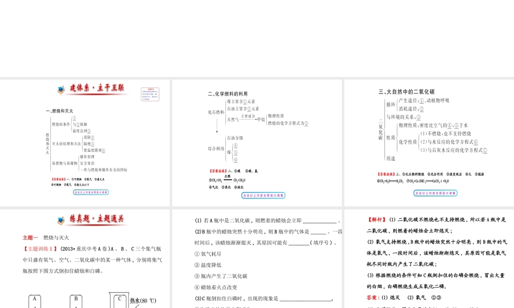 【世纪金榜】2014年九年级化学上册 第六单元 燃烧与燃料复习课件 （新版）鲁教版