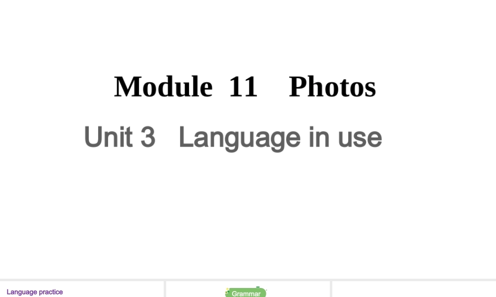 Module 11 Unit 3课件