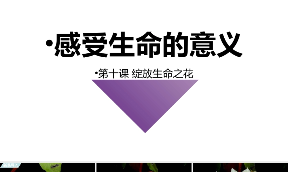 2019秋七年级道德与法治上册 第四单元 生命的思考 第十课 绽放生命之花 第1框 感受生命的意义课件