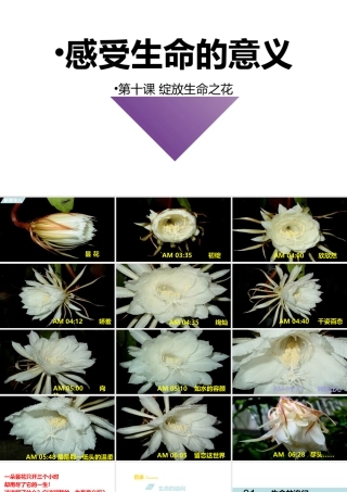 2019秋七年级道德与法治上册 第四单元 生命的思考 第十课 绽放生命之花 第1框 感受生命的意义课件