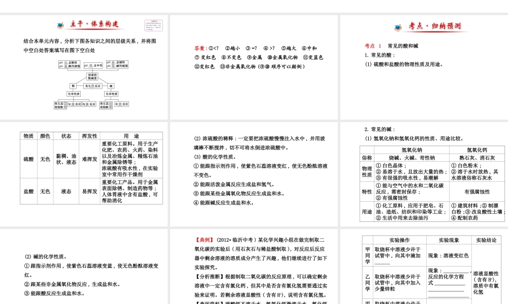 【世纪金榜】2014新学期中考化学一轮 阶段专题复习 九下 第十单元（同步知识点汇集+含2013教师典型题）课件 新人教版