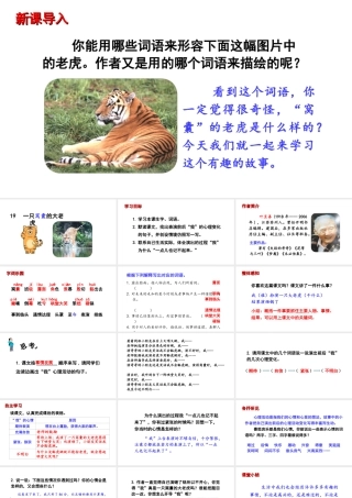 2019秋四年级语文上册 第六单元 19 一只窝囊的大老虎课件