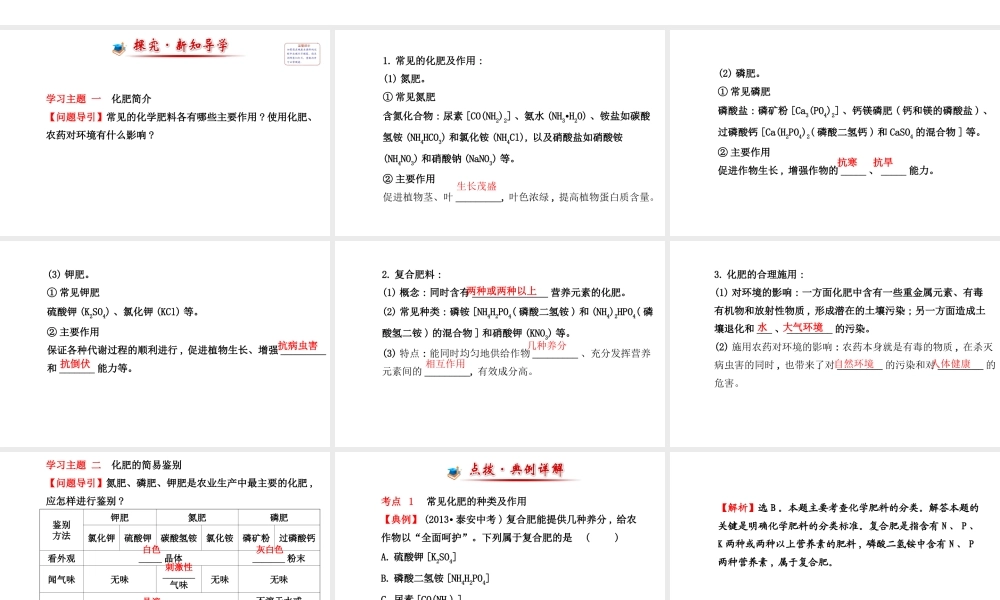 【世纪金榜】2014新学期中考化学一轮复习 九下 化 学 肥 料（同步知识点汇集+含2013教师典型题）课件 新人教版