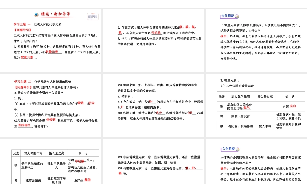 【世纪金榜】2014新学期中考化学一轮复习 九下 化学元素与人体健康（同步知识点汇集+含2013教师典型题）课件 新人教版