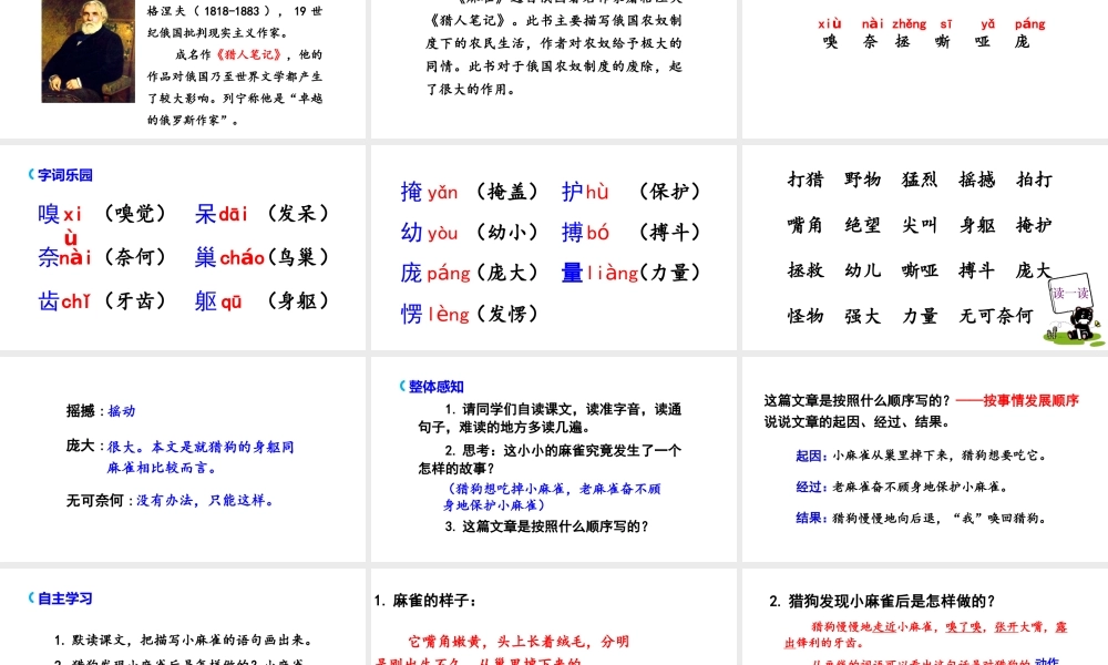 2019秋四年级语文上册 第五单元 16 麻雀课件