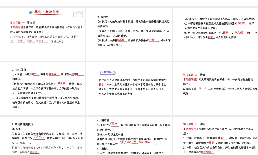 【世纪金榜】2014新学期中考化学一轮复习 九下 人类重要的营养物质（同步知识点汇集+含2013教师典型题）课件 新人教版